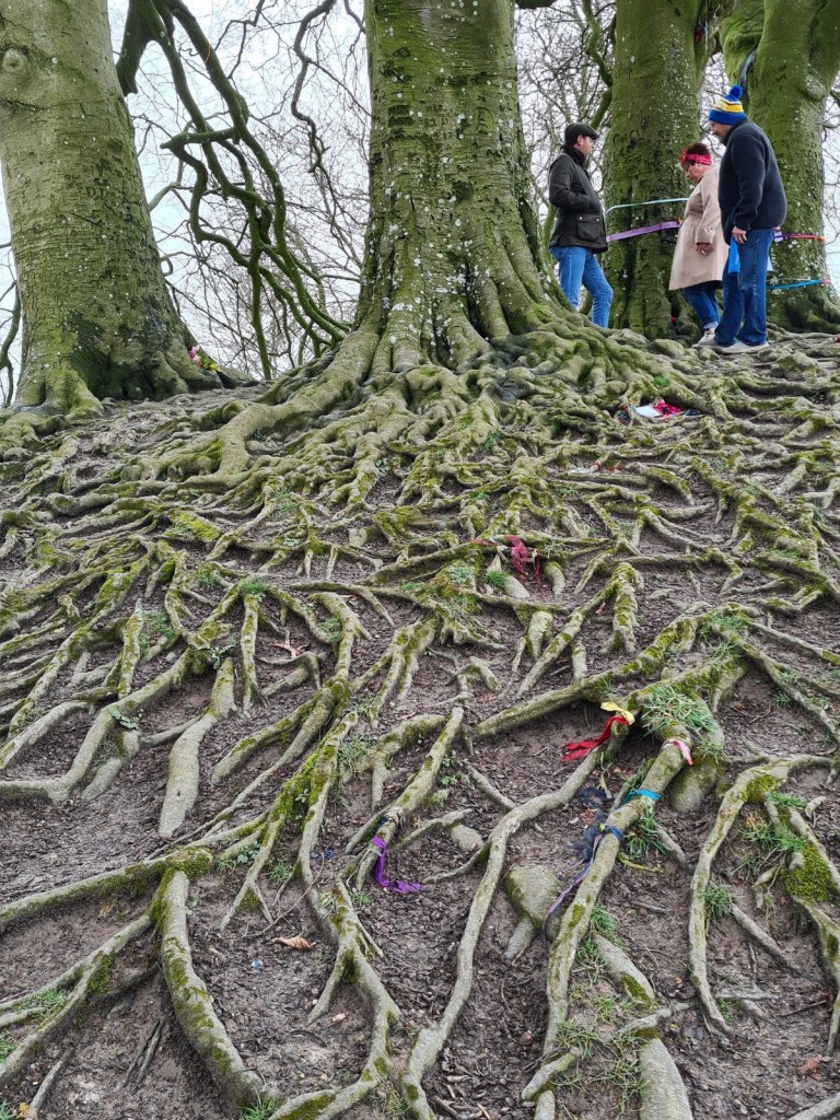 This image has an empty alt attribute; its file name is 20230326_140347.jpg