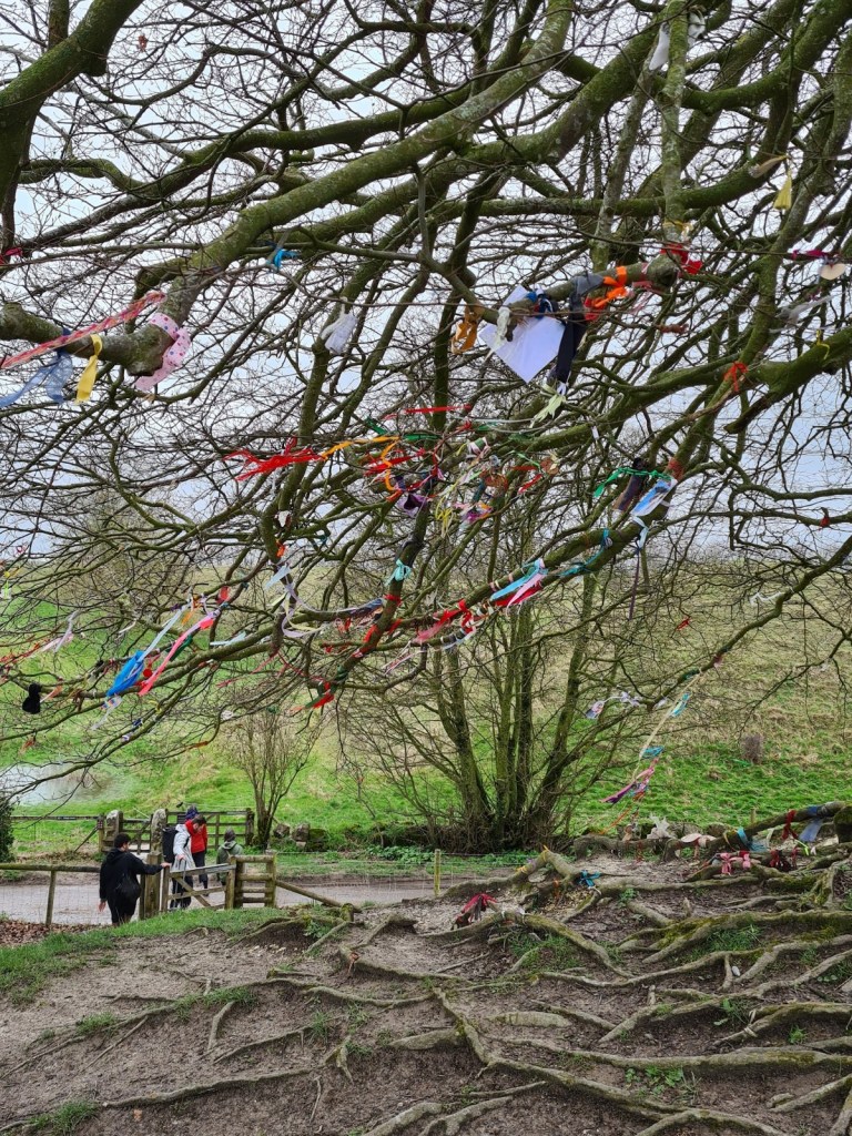 This image has an empty alt attribute; its file name is 20230326_140352.jpg