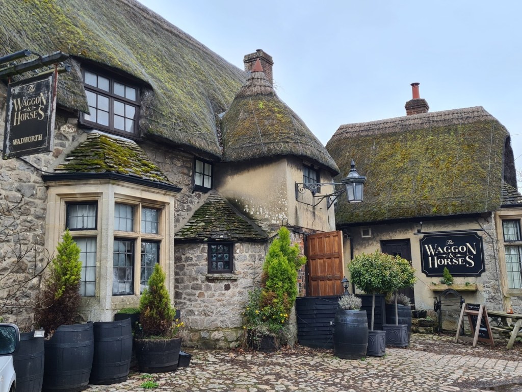 This image has an empty alt attribute; its file name is 20230326_150118.jpg