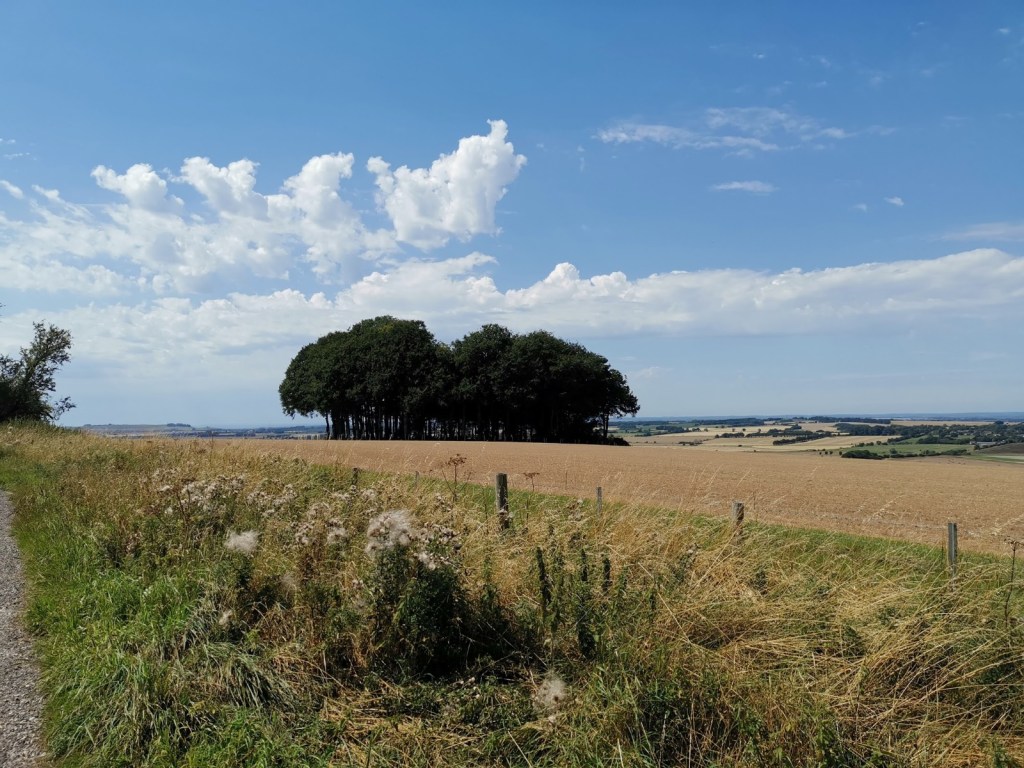 This image has an empty alt attribute; its file name is img_20200807_124425.jpg