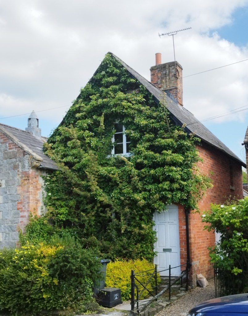 This image has an empty alt attribute; its file name is img_20230603_160909-1.jpg