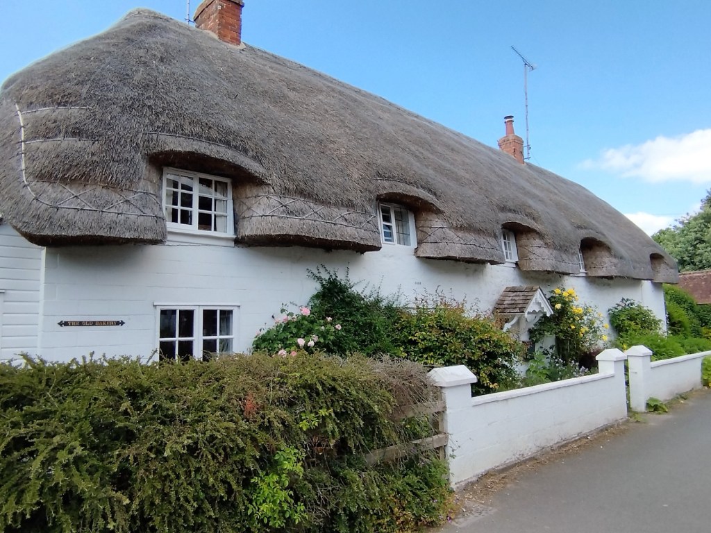 This image has an empty alt attribute; its file name is img_20230603_160955.jpg