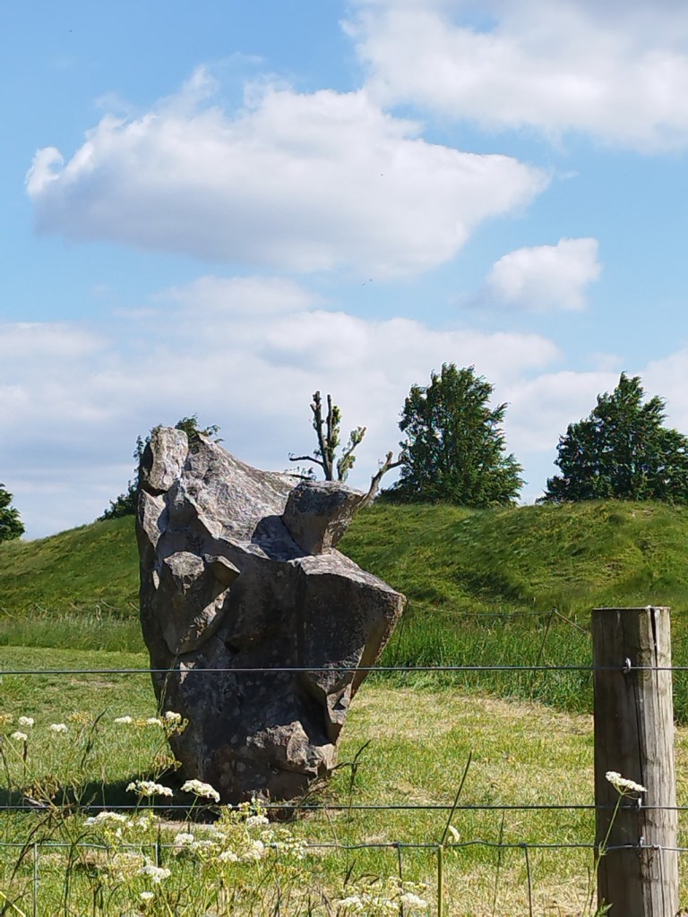 This image has an empty alt attribute; its file name is img_20230603_161636.jpg